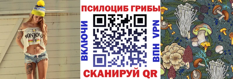 Псилоцибиновые грибы Psilocybine cubensis продажа наркотиков Уварово